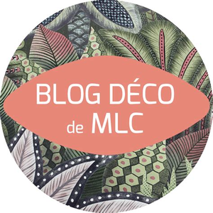 Leblogdecodemlc.com